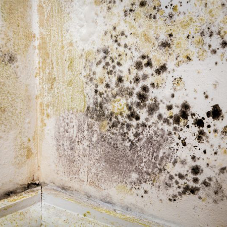 What is the Best Method of Damp Proofing?